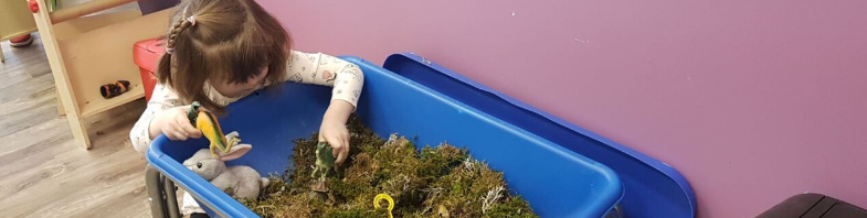 Science & Social Studies